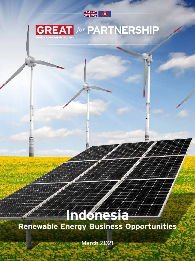 Carbon Markets Driving Indonesia Green Business Opportunities