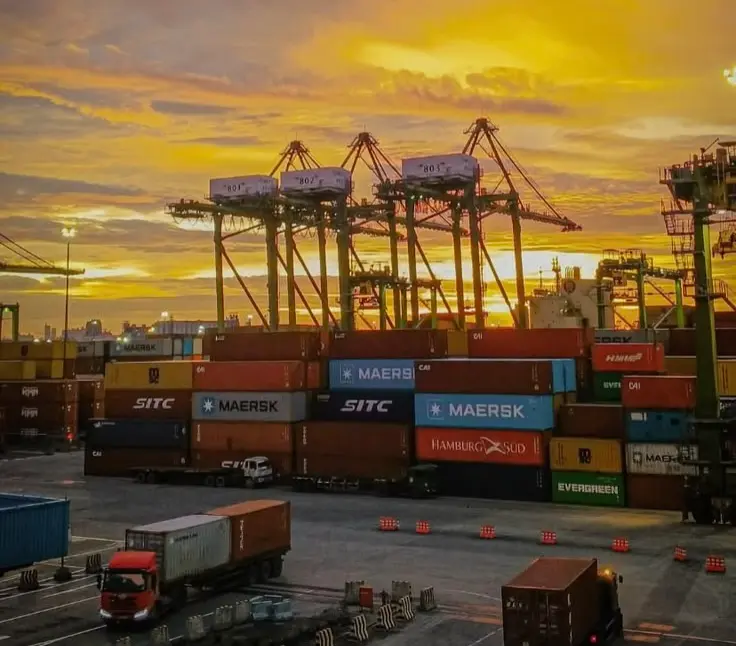 Logistics and cargo activities supporting Jayapura investment opportunities