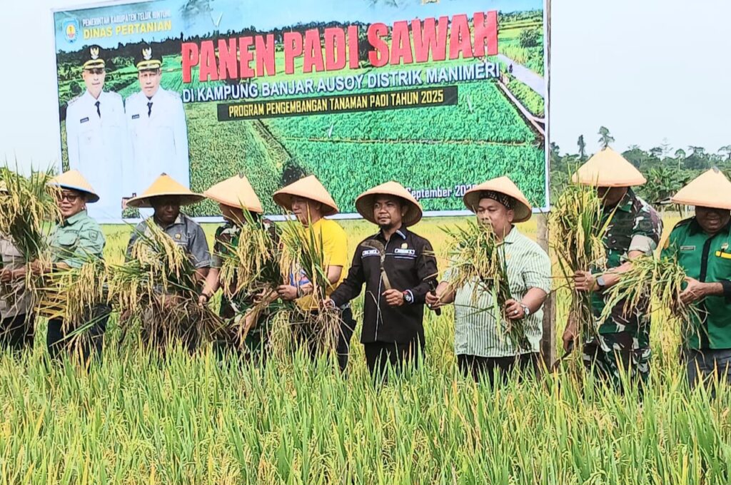 Agricultural production supporting food security and industrial growth in Bintuni