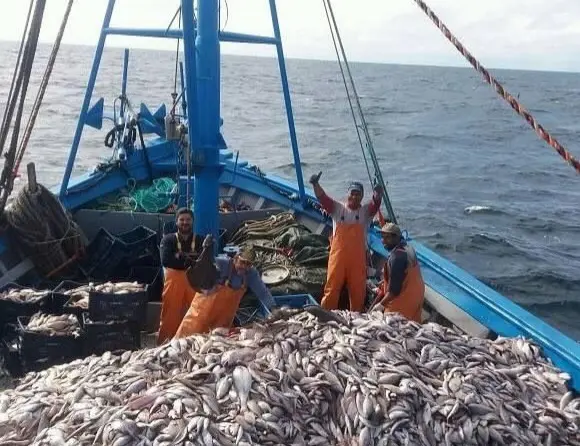 Commercial fishing activities in the Arafura Sea near Merauke
