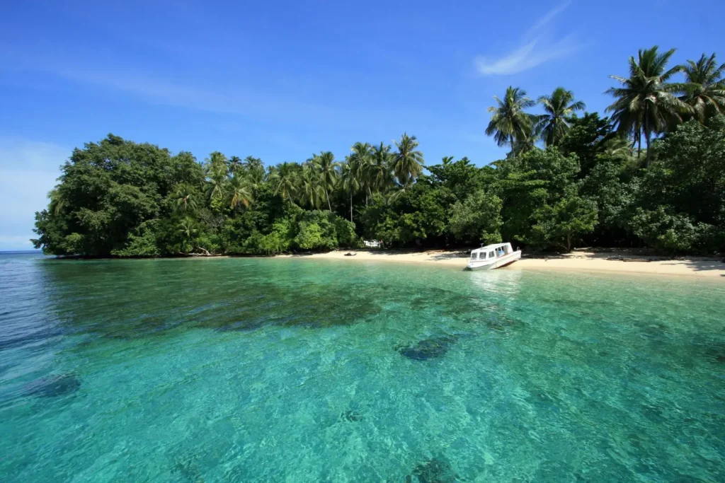 Wami Beach in Nabire, Central Papua, overlooking the waters of Cenderawasih Bay with tropical coastal scenery.