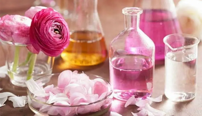Bulgaria Rose Oil Meets Indonesia’s Beauty Market